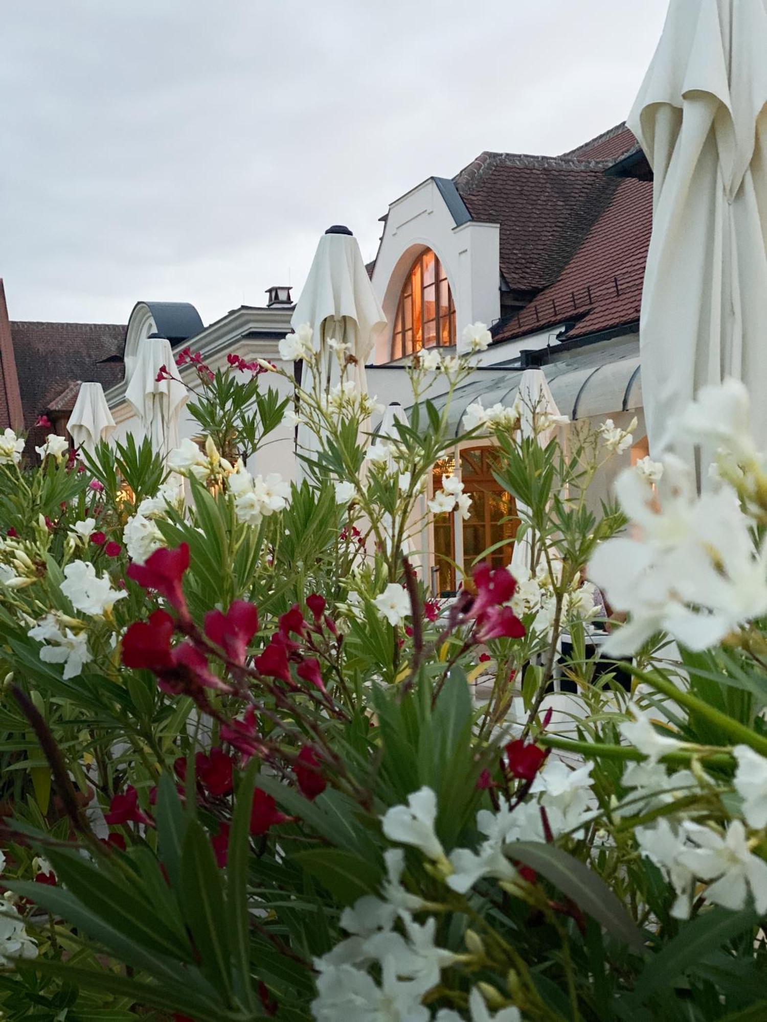Schloss Thalheim 圣珀尔滕 外观 照片
